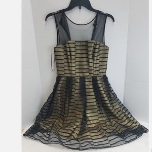 Marciano Women's Black & Gold Lacey Dress Size 6